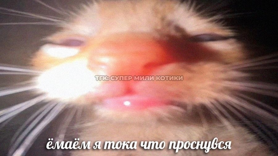 IMG_7118.jpeg