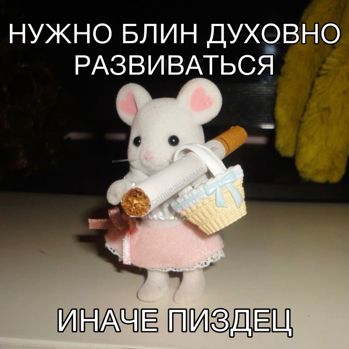 IMG_7217.jpeg