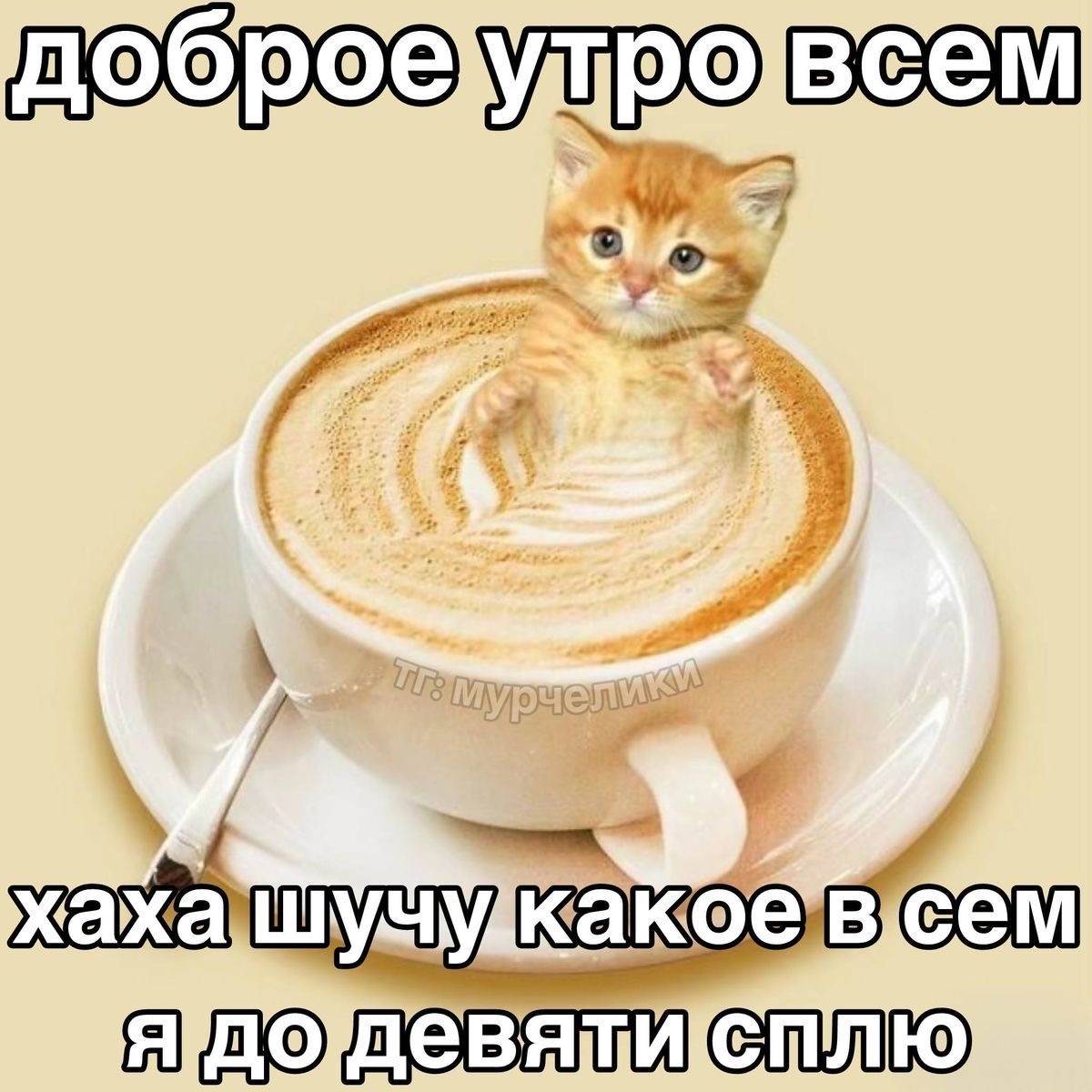 IMG_7303.jpeg