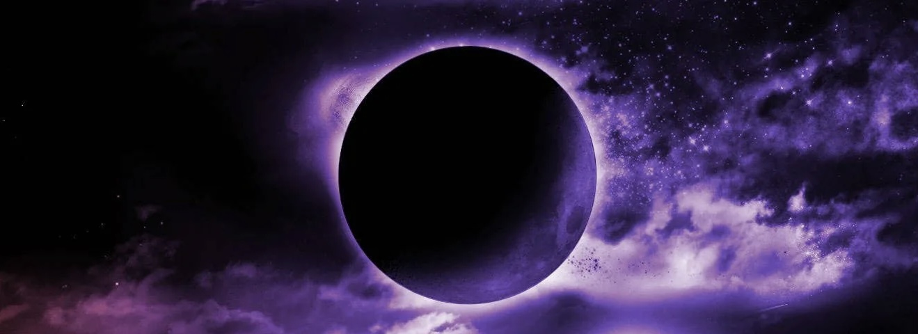 IMG_7902.jpeg