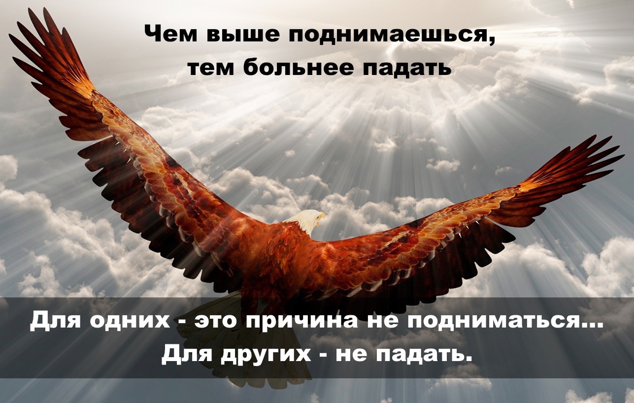 IMG_7964.jpeg