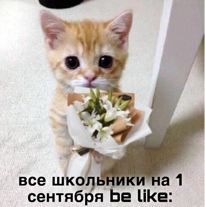 IMG_8031.png