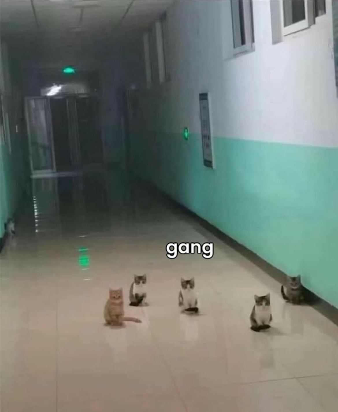 IMG_8129.jpeg