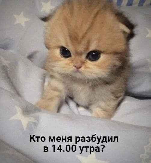 IMG_8253.png