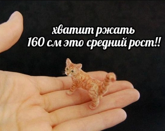 IMG_8260.png