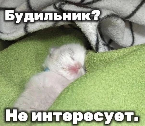 IMG_8367.jpeg