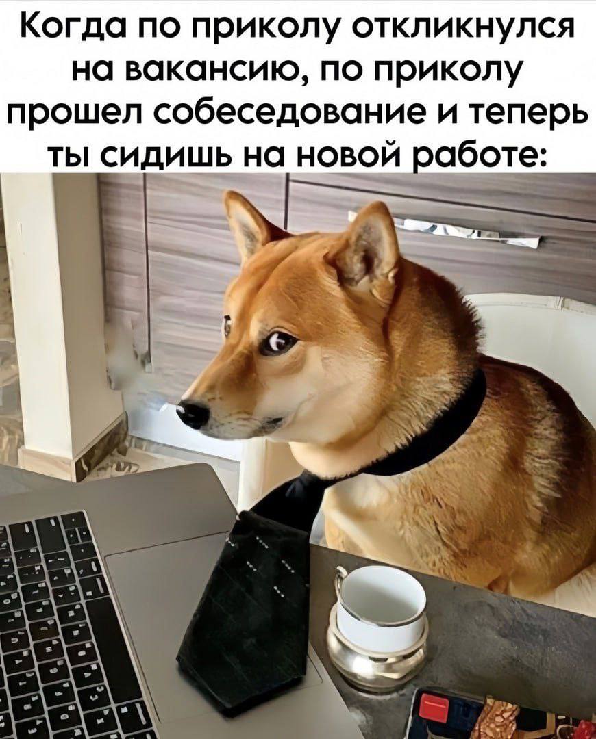 IMG_8600.jpeg