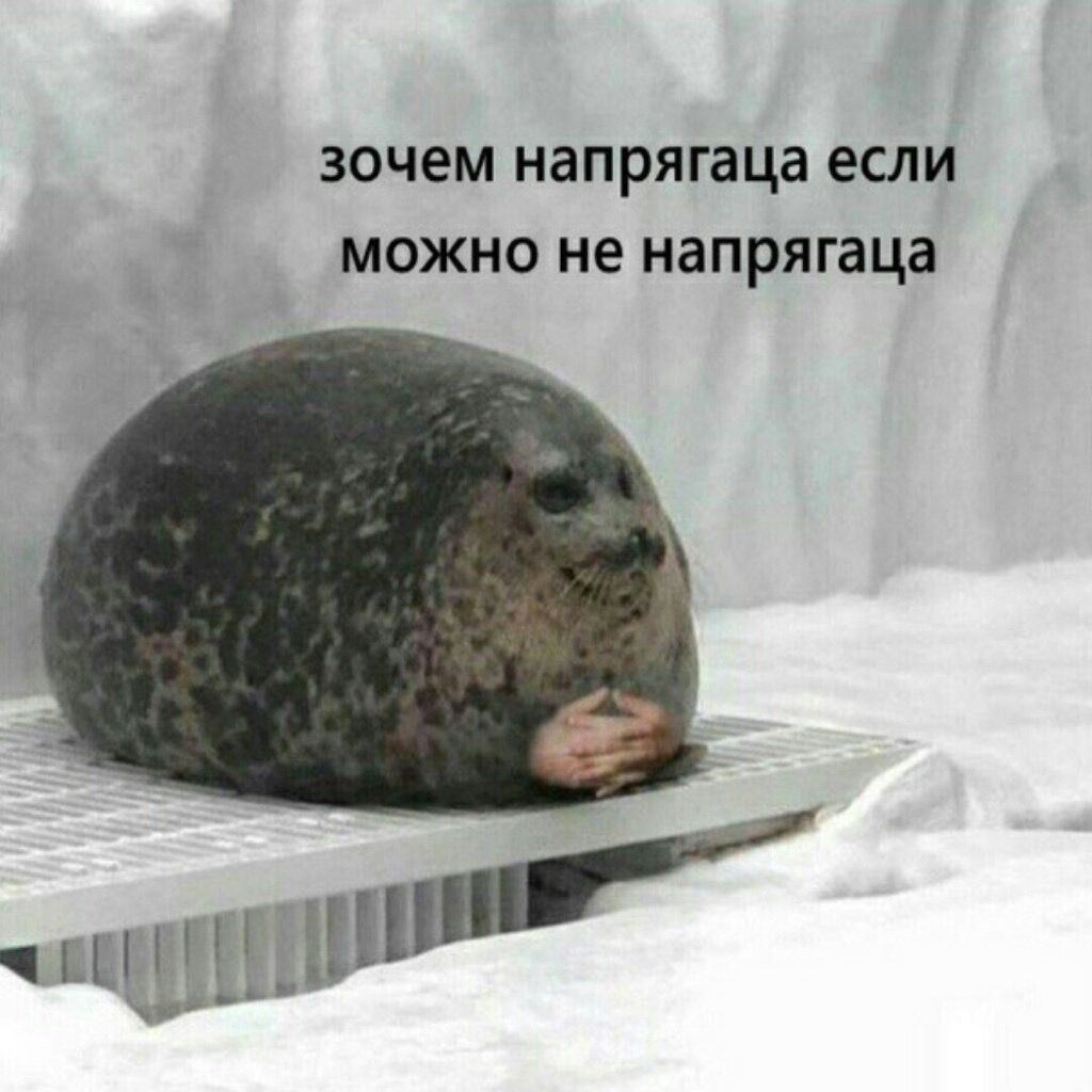 IMG_8639.jpeg