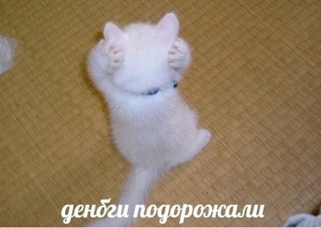 IMG_8776.jpeg