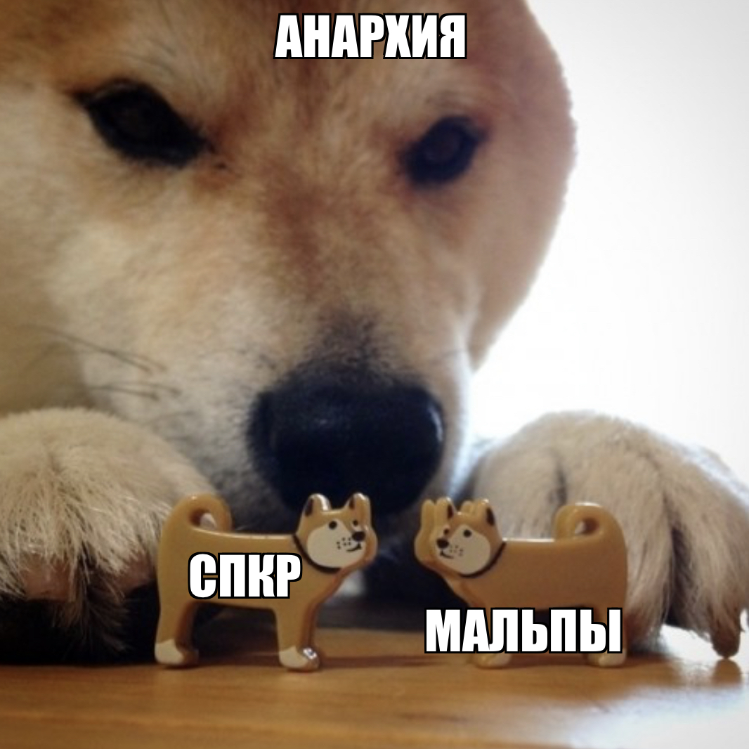 IMG_8803.jpeg