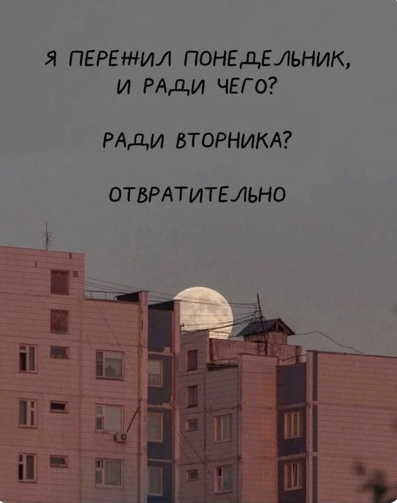 IMG_8841.jpeg