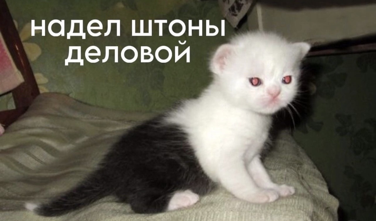 IMG_8870.jpeg