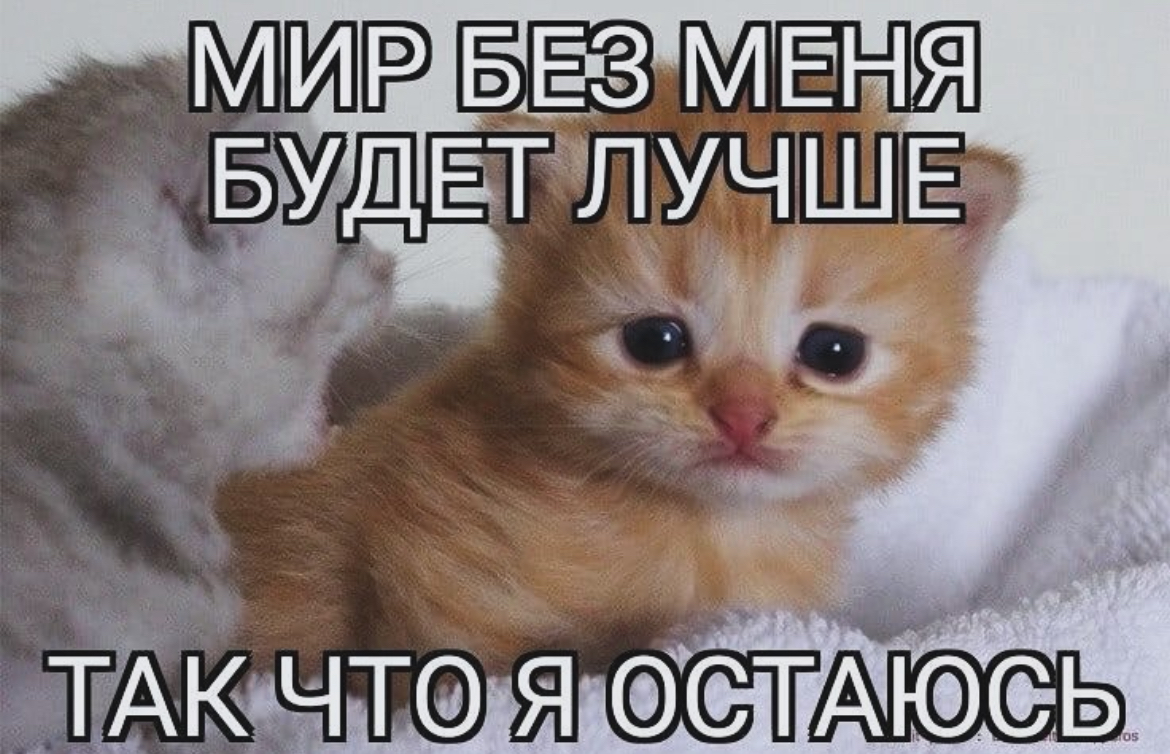 IMG_8889.jpeg
