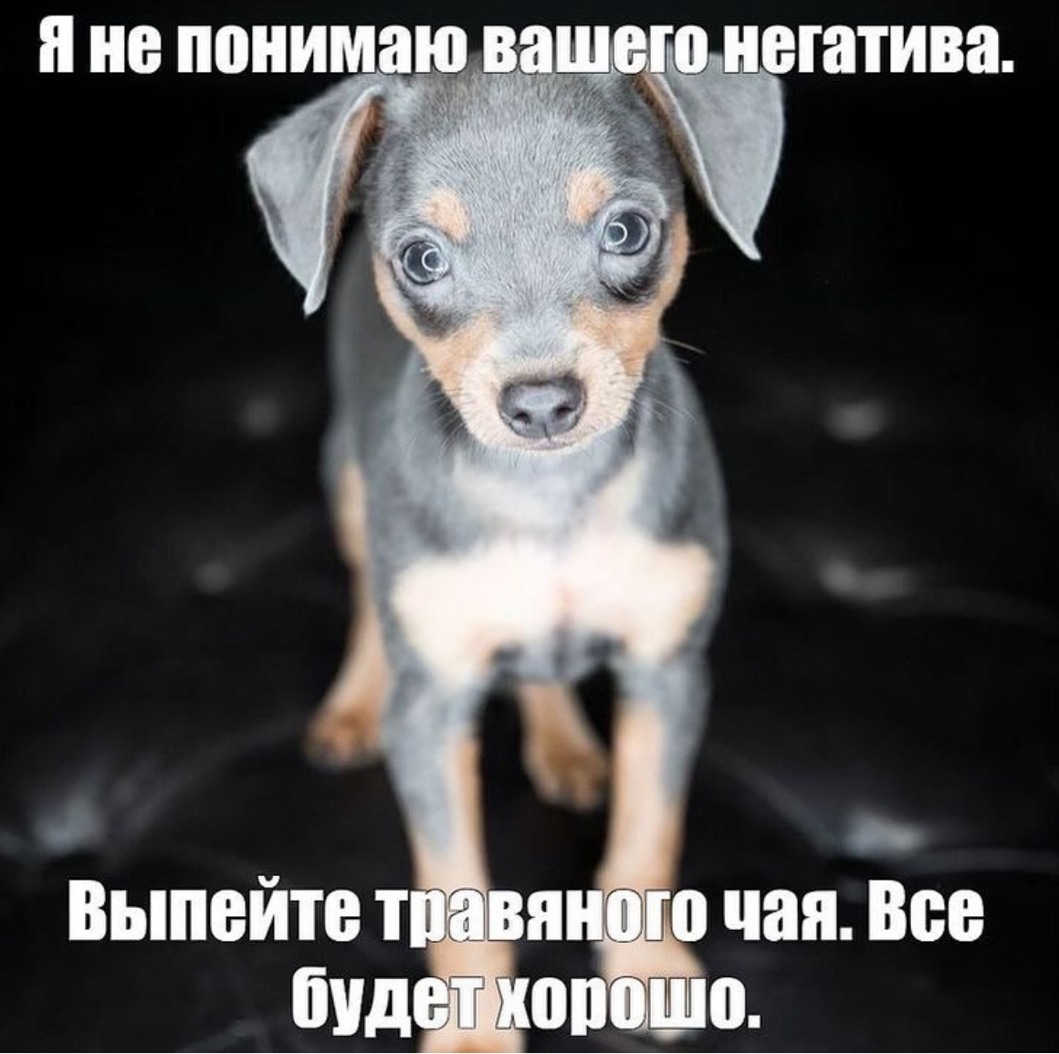 IMG_8890.jpeg