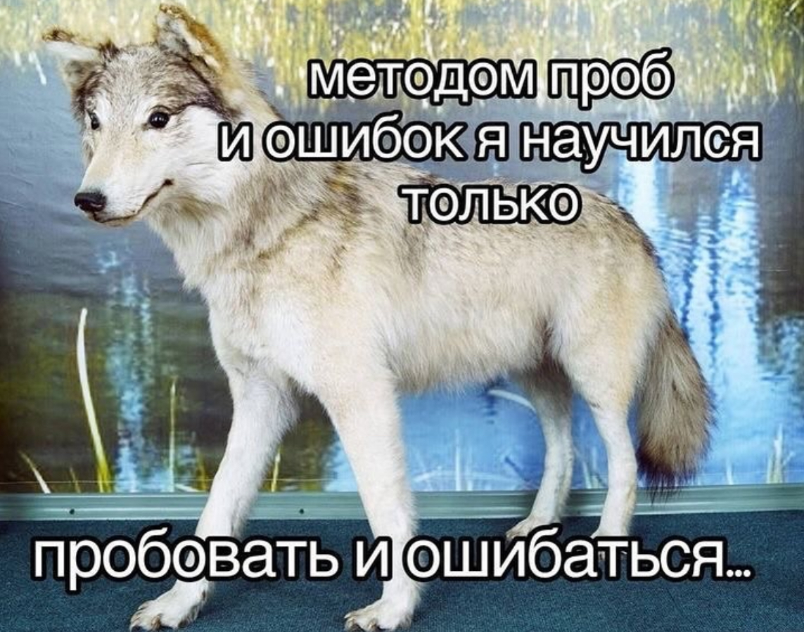 IMG_8891.jpeg