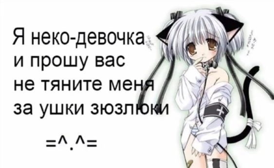 IMG_9087.png