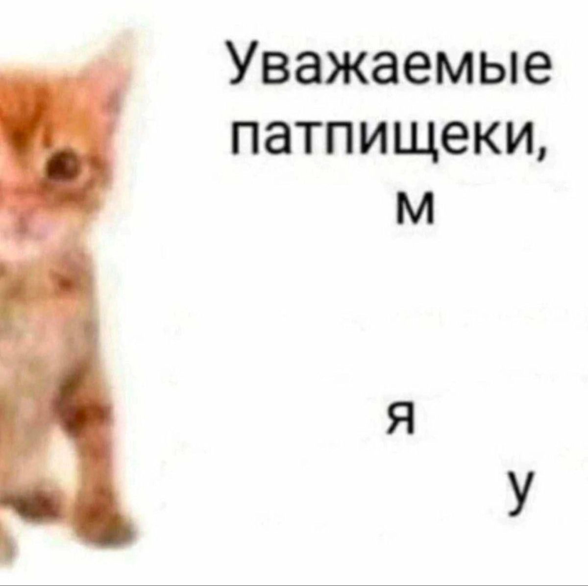 IMG_9094.jpeg