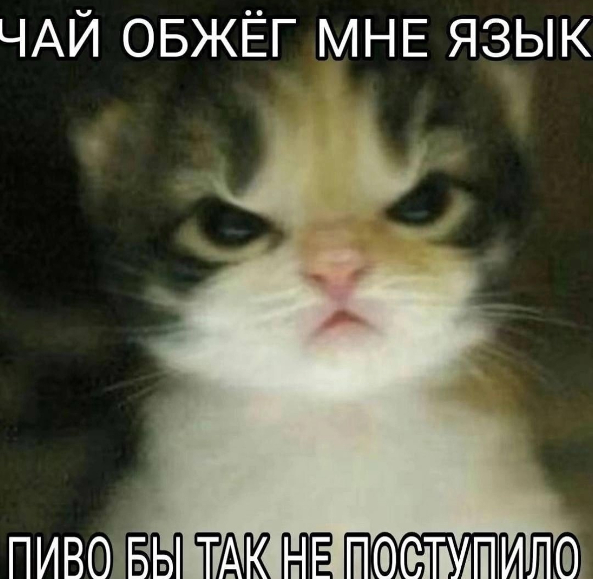 IMG_9157.jpeg