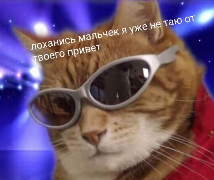 IMG_9192.jpeg