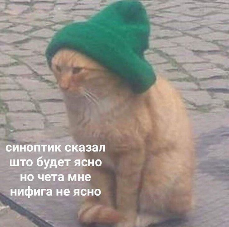 IMG_9220.jpeg