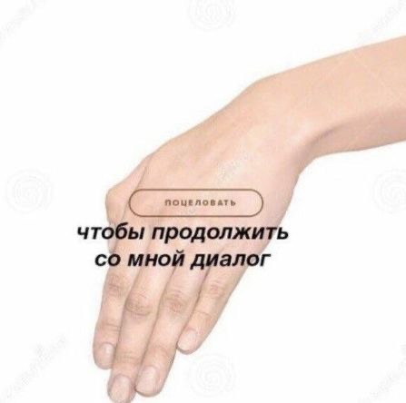 IMG_9244.jpeg
