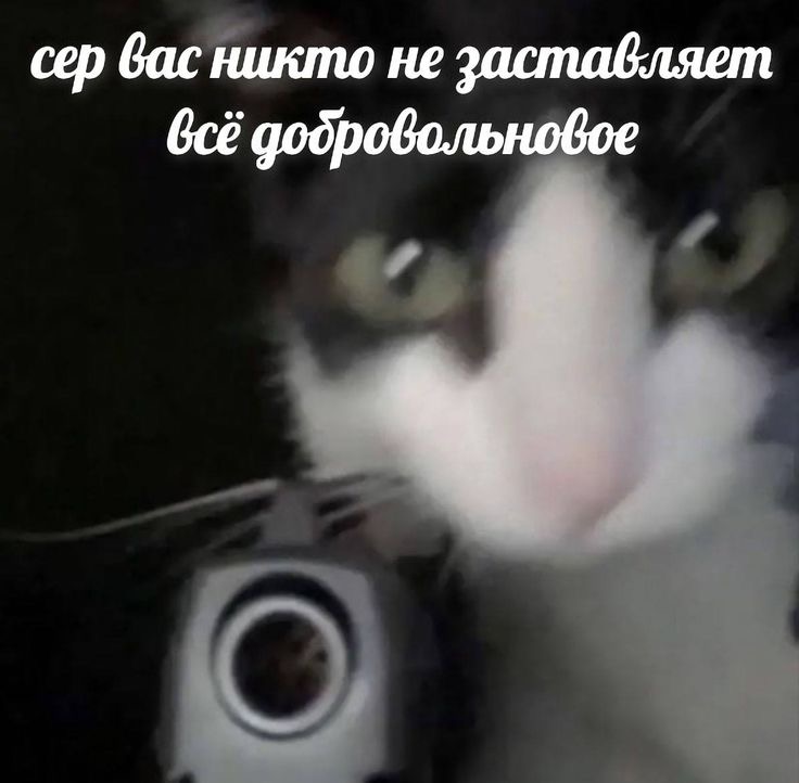 IMG_9276.jpeg