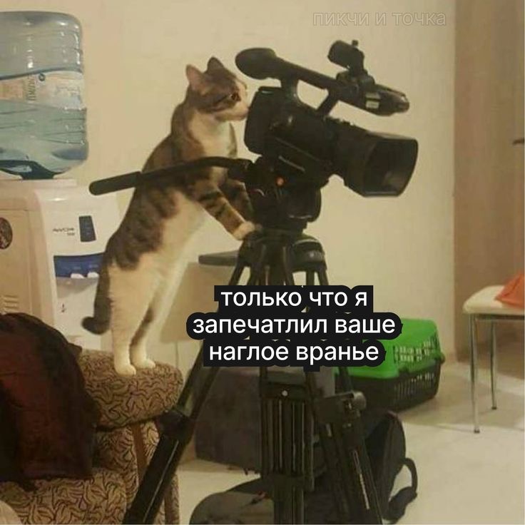IMG_9281.jpeg
