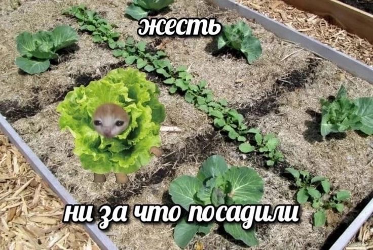 IMG_9282.jpeg