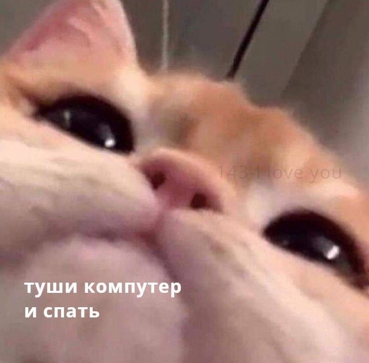 IMG_9296.jpeg