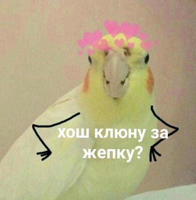 IMG_9300.jpeg