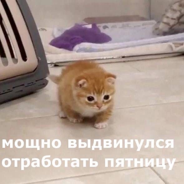 IMG_9402.jpeg