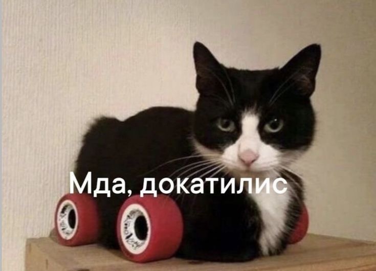 IMG_9405.jpeg