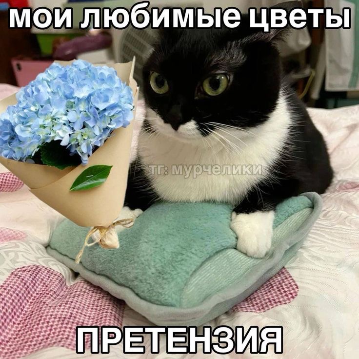 IMG_9406.jpeg