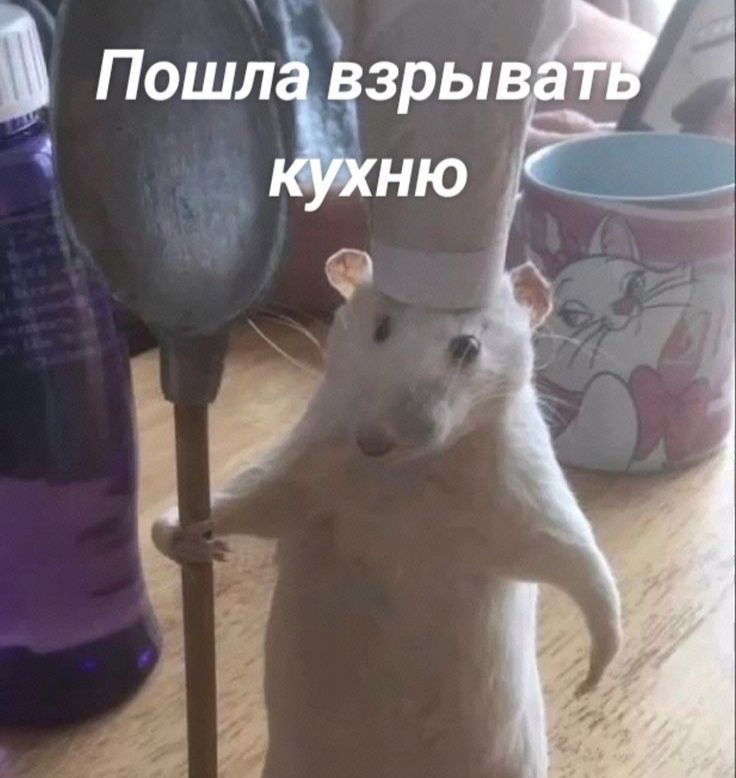 IMG_9417.jpeg
