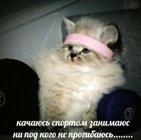 IMG_9419.jpeg