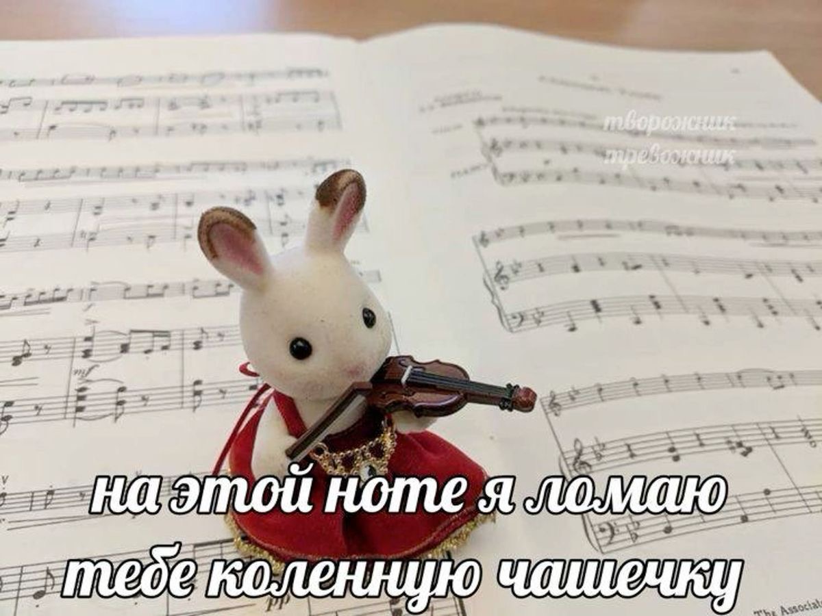 IMG_9437.jpeg