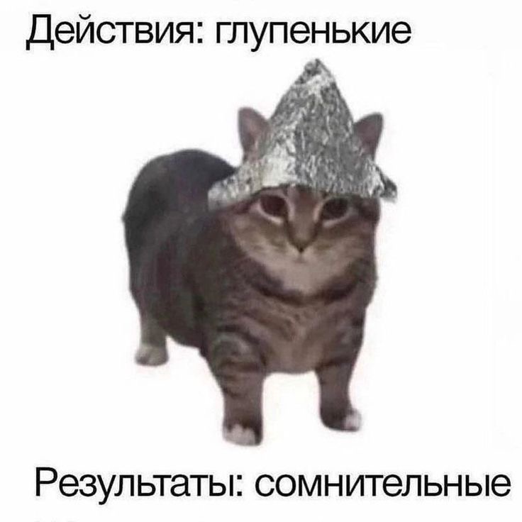 IMG_9448.jpeg