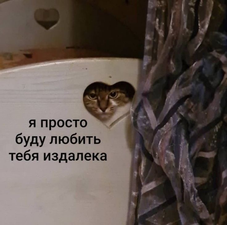 IMG_9451.jpeg