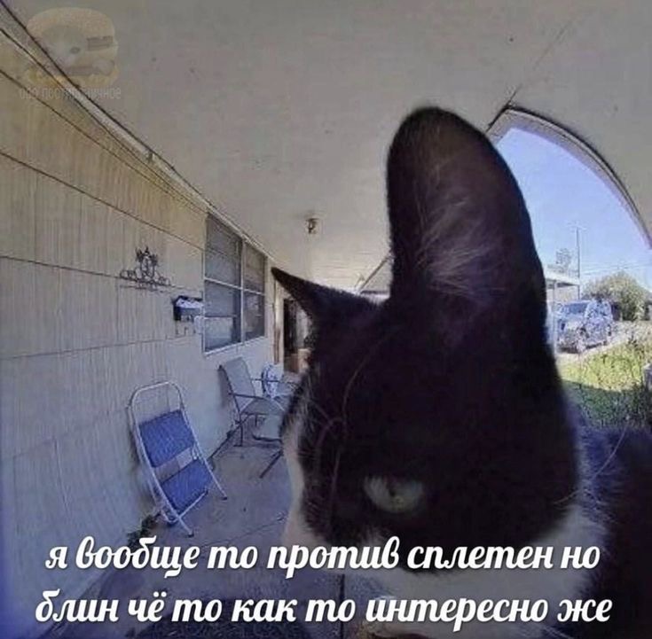 IMG_9474.jpeg