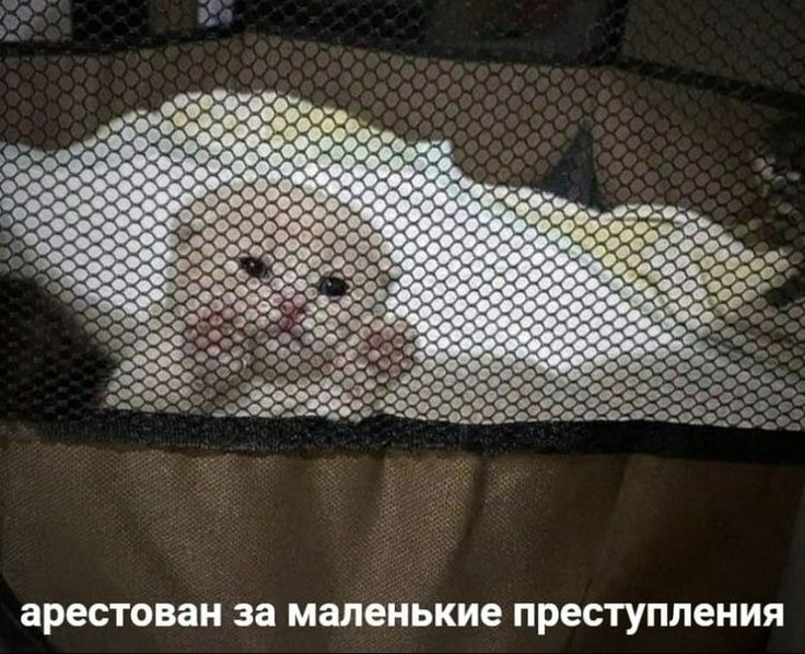 IMG_9475.jpeg