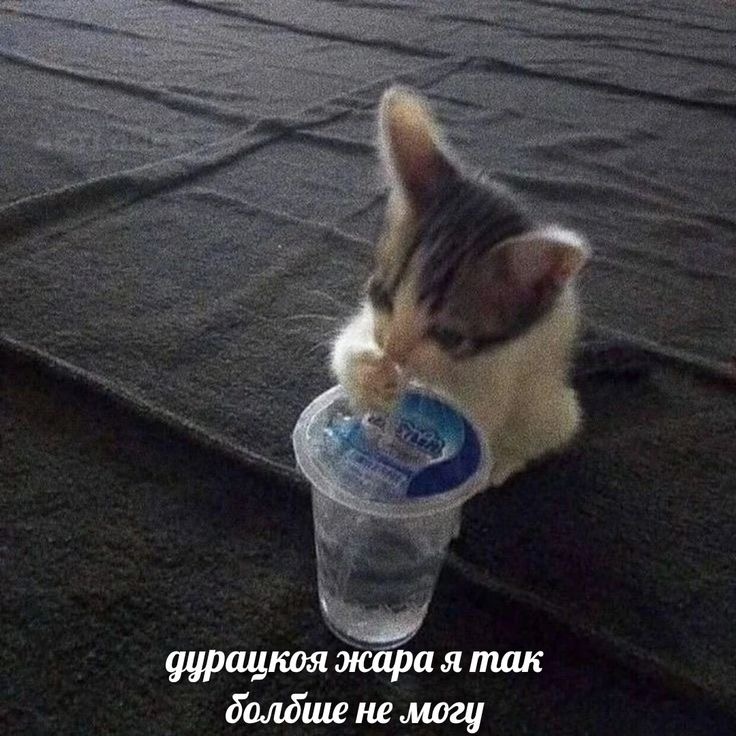 IMG_9517.jpeg