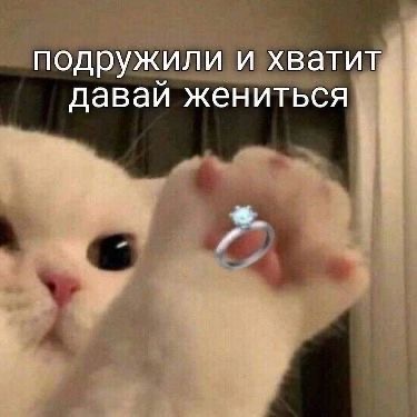 IMG_9519.jpeg