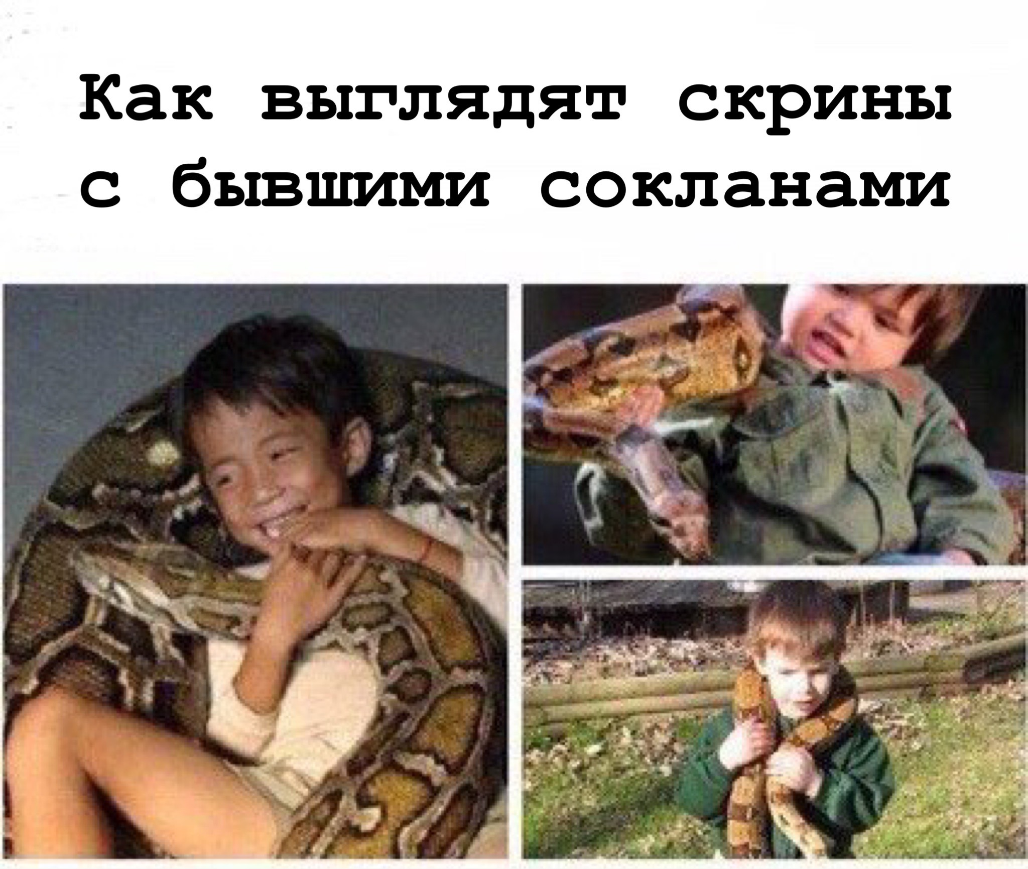 IMG_9568.jpeg