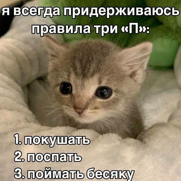 IMG_9648.jpeg