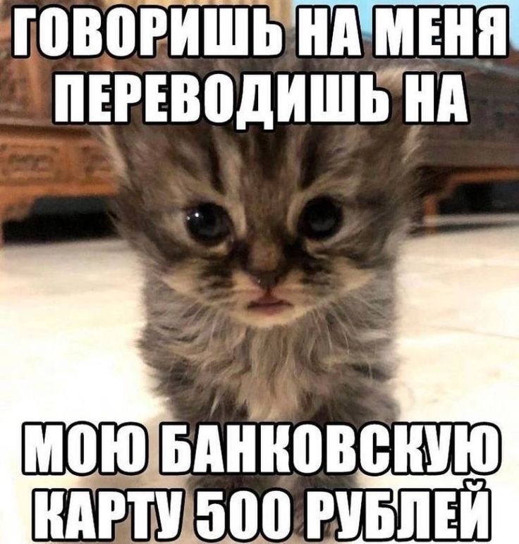 IMG_9649.jpeg