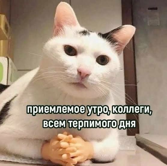 IMG_9687.jpeg