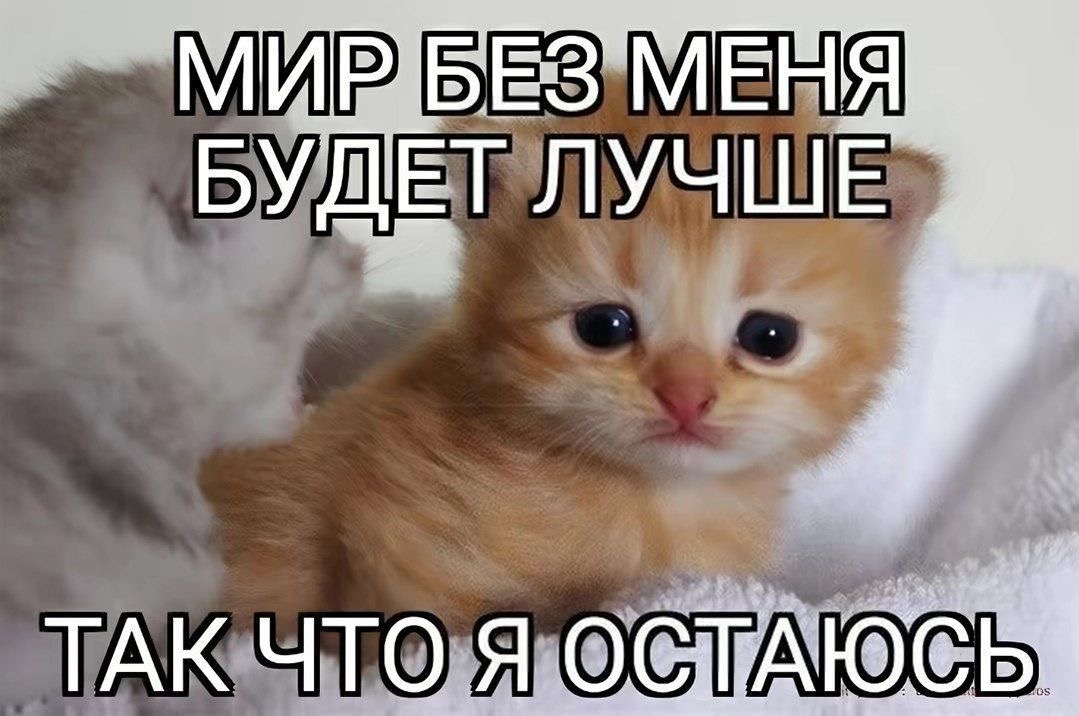 IMG_9845.jpeg