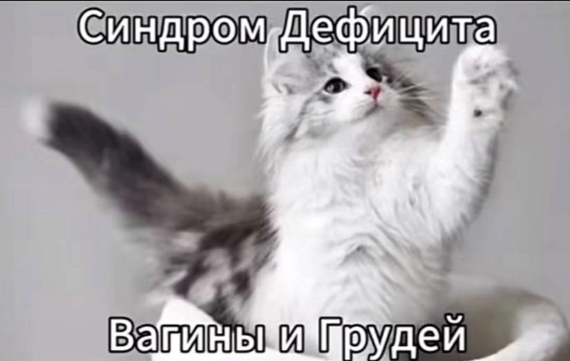 IMG_9950.png