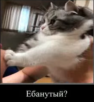IMG_9966.jpeg