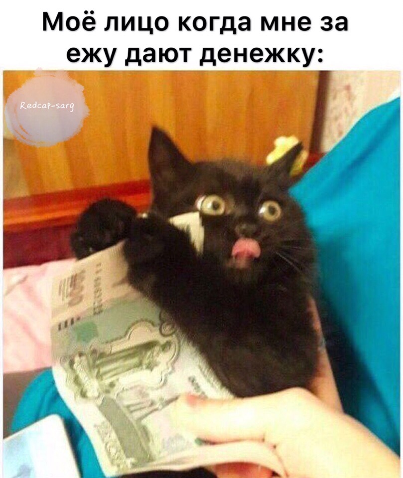 InqU--rVCCH7oyYr2tIaHJl8Ufnl4KZWBFFQTd3pgXHyNfNtcBF8vOfHqzWOeBPPSSE7yKUq.jpg